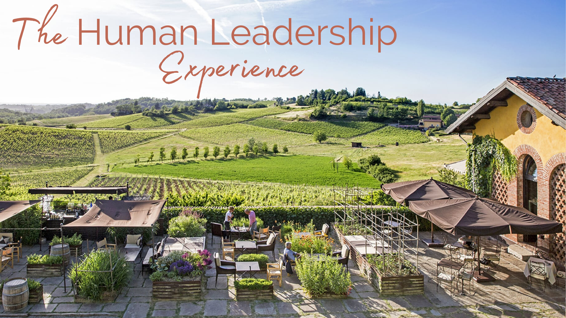 The Human Leadership Experience